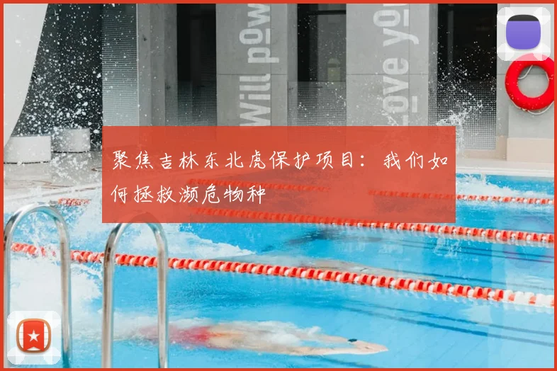 聚焦吉林东北虎保护项目：我们如何拯救濒危物种