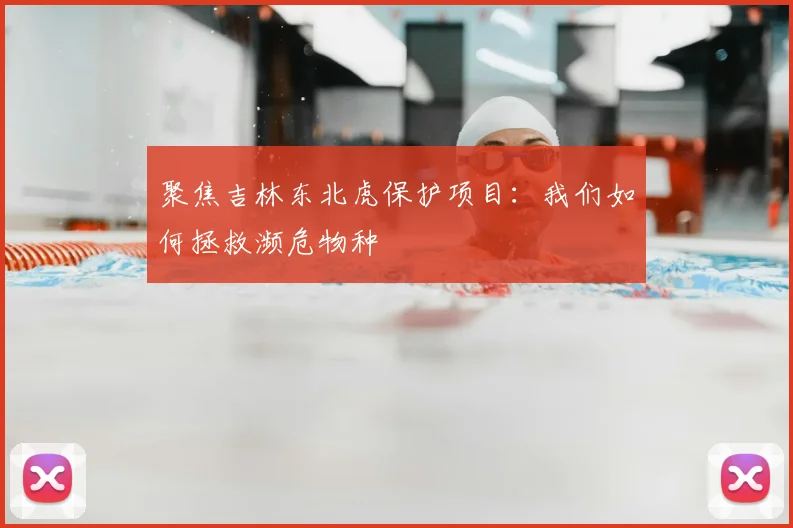 聚焦吉林东北虎保护项目:我们如何拯救濒危物种