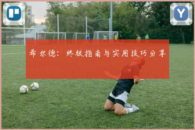 希尔德：终极指南与实用技巧分享
